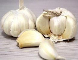 Bawang Putih Bawang Putih