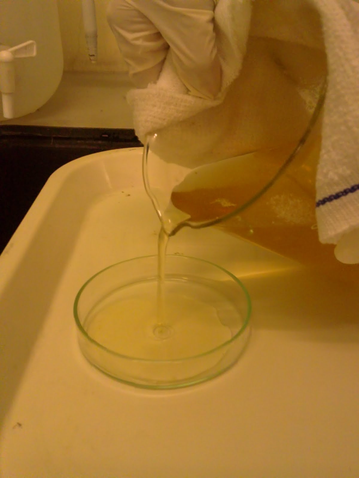world of science Nutrient Agar Preparation