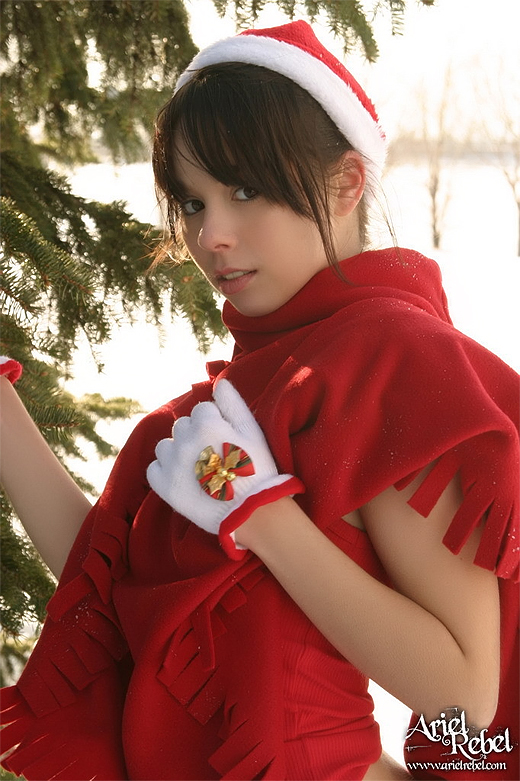 all in the day of sahib: Merry Christmas from Ariel Rebel