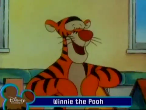 The New Adventures of Winnie The Pooh: The Good The Bad and the Tigger ...