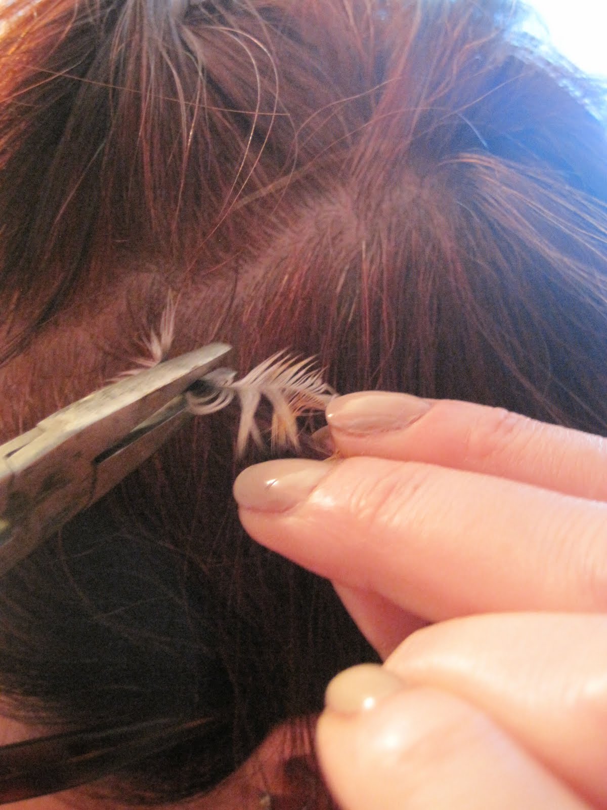 Hairstyle How To Attach Feather Extensions To Your Hair