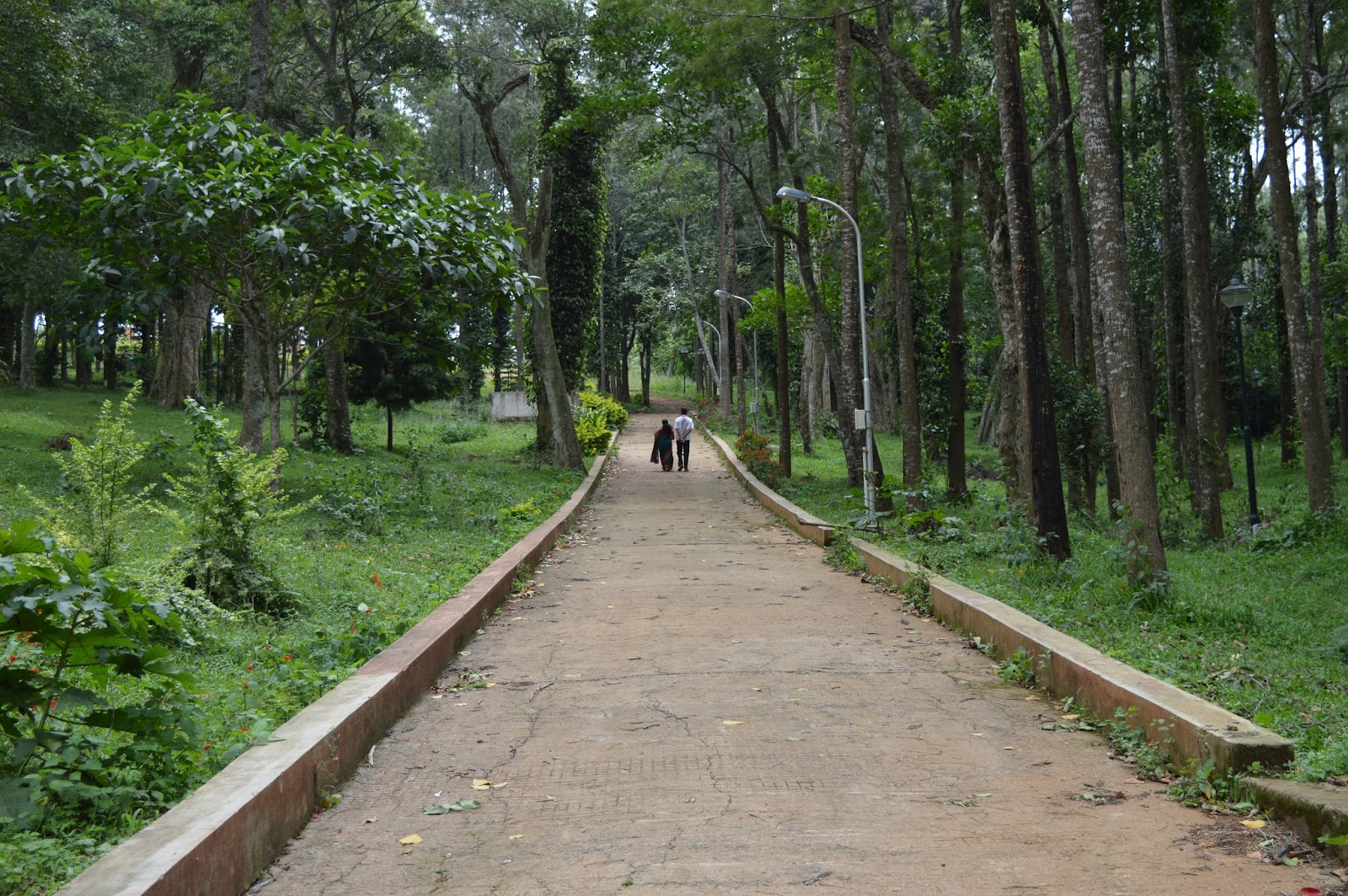 Tamilnadu Tourism Rose Garden, Yercaud