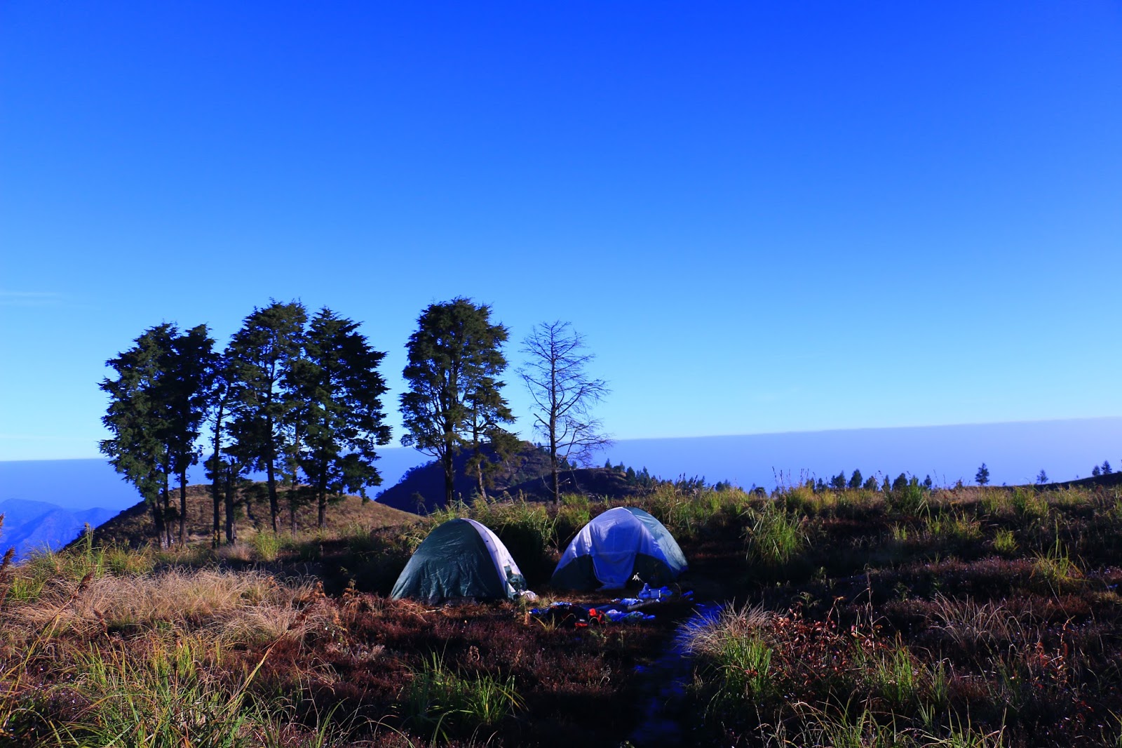 5 tempat camping paling favorit di dieng Paket Wisata Dieng