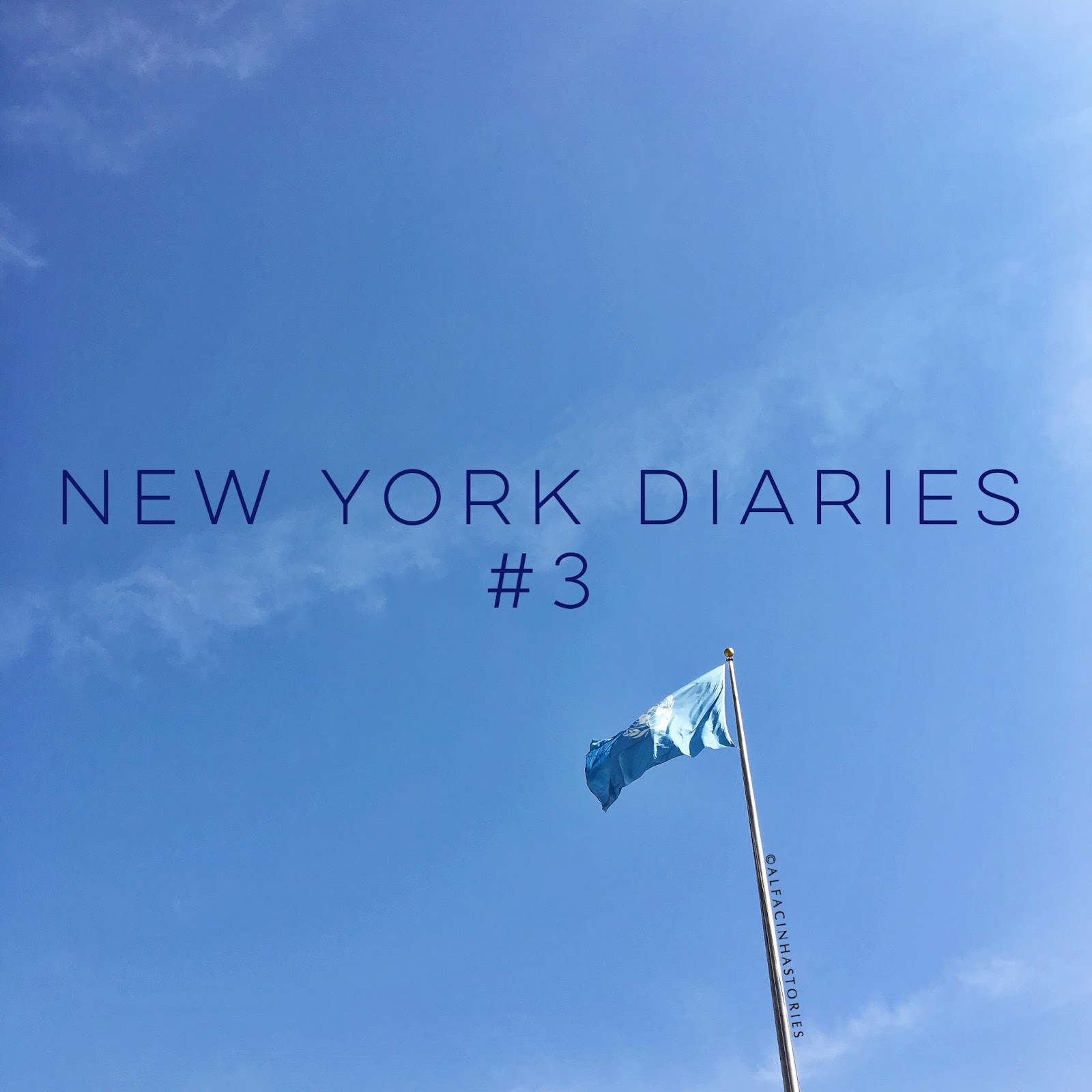 The New York Diaries #3