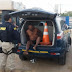 Motorista é preso por dirigir embriagado na rodovia BR-410