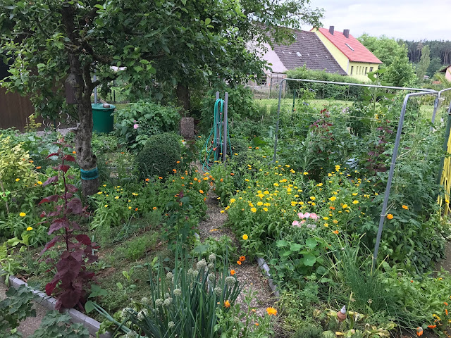 der Selbstversorger- Gemüsegarten alles Bio und Mischkultur (c) by Joachim Wenk der Selbstversorger- Gemüsegarten alles Bio und Mischkultur (c) by Joachim Wenk