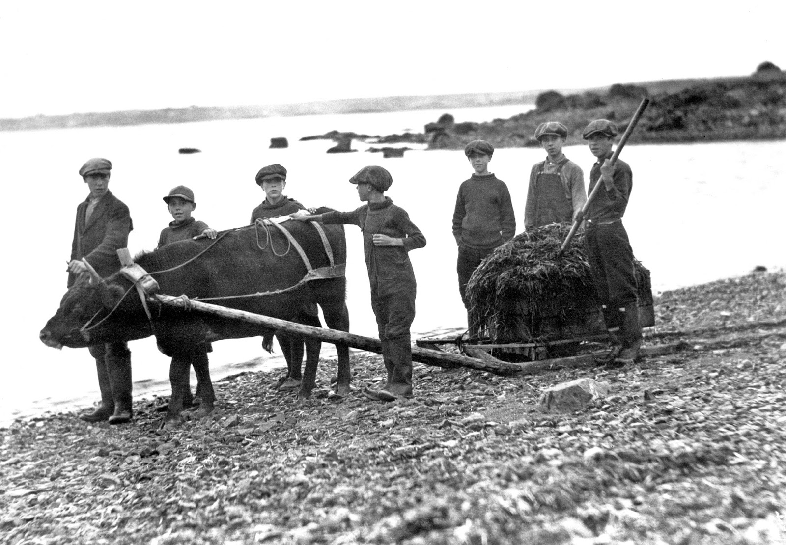 History in Photos Vintage Nova Scotia