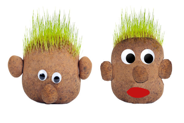 Kids love growing grass seed because it is easy to sprout and grows quickly.  These growing grass heads are super fun for spring & kids can even style their plant person's hair! #grassheadsforkids #grassheads #grassheadcraft #grasshaircupskids #kidsgardencrafts #springcrafts #gardeningforkidspreschool