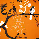 Tela - Pájaros Naranja