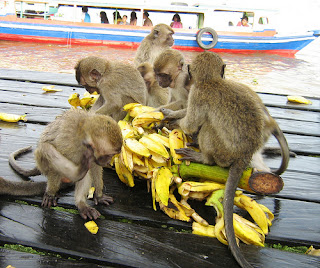 Objek Wisata Pulau Kembang Pulau Kembang Banjarmasin