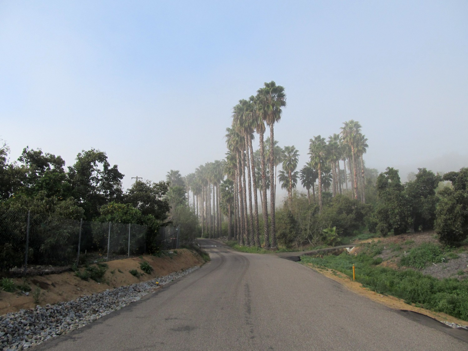 A ride through the enchanted forest of Fallbrook, De Luz