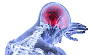 brain brain