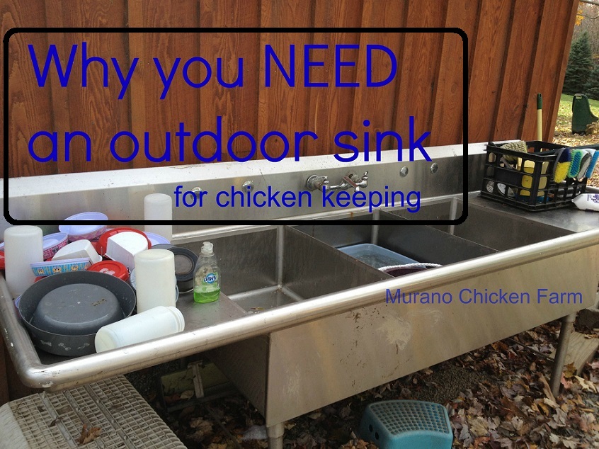 Why You Need An Outdoor Sink On A Chicken Farm Murano