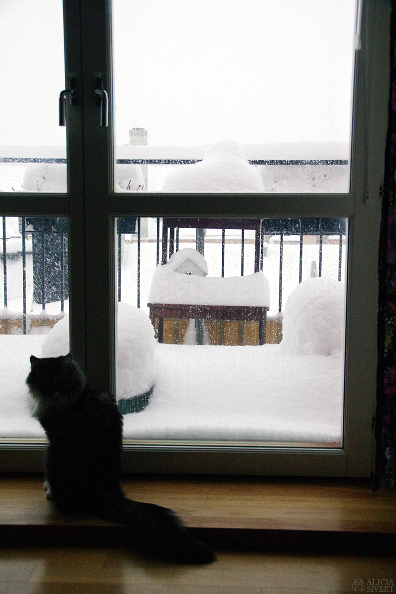 Snöstorm i Stockholm, foto av Alicia Sivertsson.