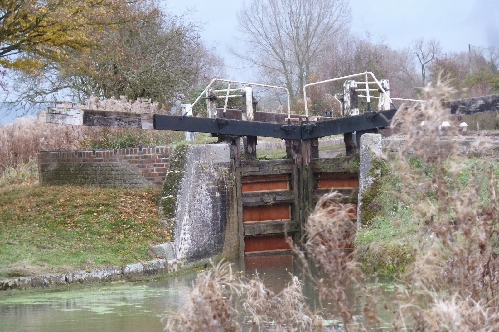 Gecko's Progress: November 2013