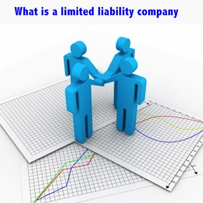 liability limited company