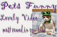 Pets funny & lovely video most viewed in you tube