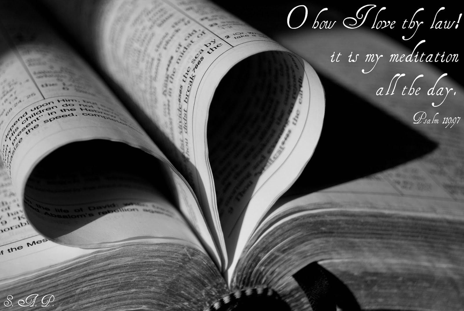 Shiloh Acres Photography: The Law of the Lord is Perfect...