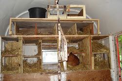 coops chicken coop trailer build dummies boxes nest chickens windows cool purposed re doors