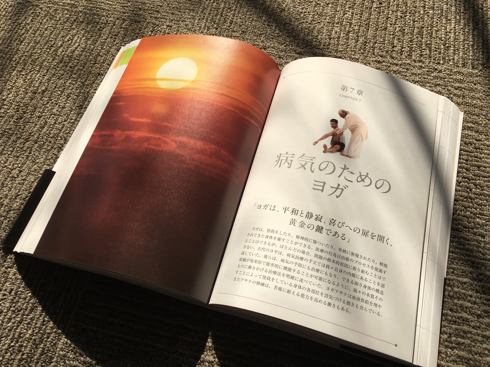 Ineko Yoga Studio: 新刊 アイアンガーヨガ完全マニュアルの日本版