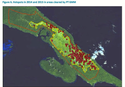 Hasil Investigasi Ungkap KORINDO Hancurkan Hutan di Papua, Beragam Masalah ini Muncul