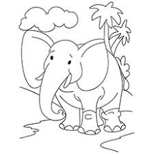 Baby Elephant At Forest Coloring Sheet Baby Elephant At Forest Coloring Sheet