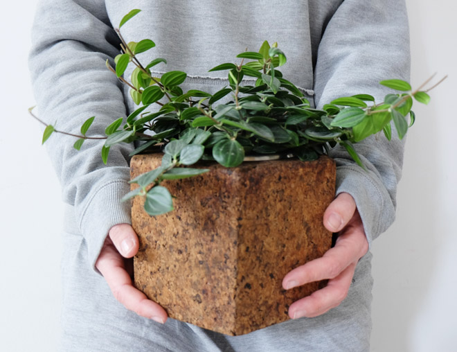 Sechs Ecken in 3D | 2.Hand | Minza will Sommer Urbanjunglebloggers, urbanjungle, Zimmerpflanzen, 2.Hand Shopping, Vintage, Sozialkaufhaus, Blumentopf,Wohnen mit Pflanzen, Dekoration, nachhaltig wohnen, Slowliving, Green Living, Wohnen in Grün, Kork, Greenbloggers, Wohnblog, Interiorblog, Köln, Minza will Sommer