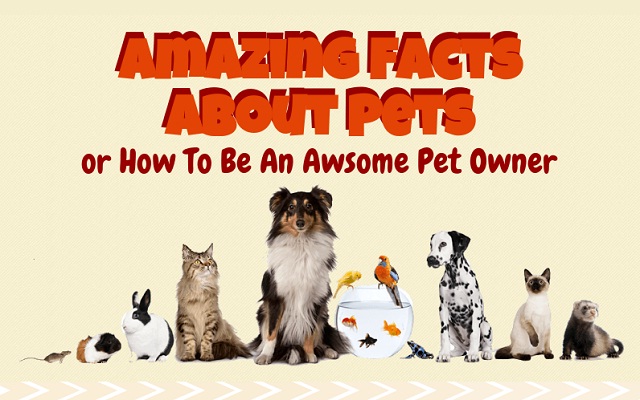 Image: Amazing Facts About Pets 