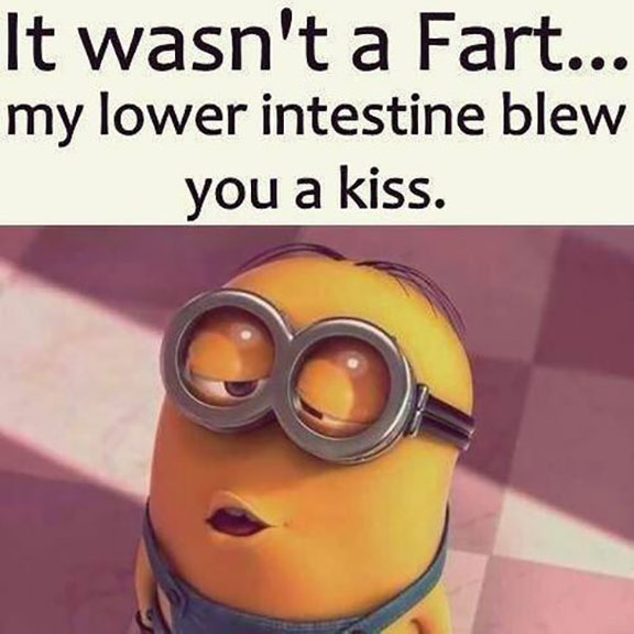 15 Funny Minion Quotes Hilarious that will Make You LOL