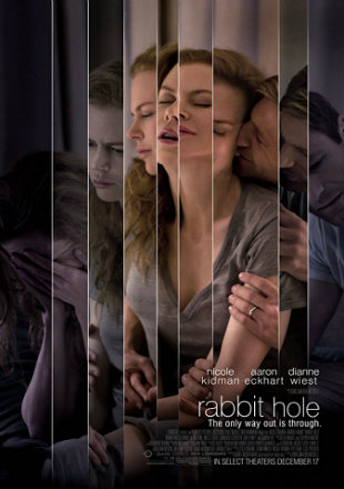 Rabbit Hole 2010 BluRay 280MB Hindi Dual Audio 480p