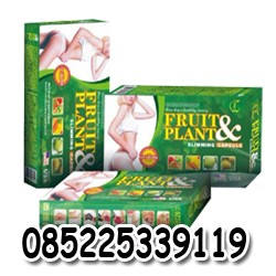 OBAT PELANGSING BADAN FRUIT PLANT ASLI