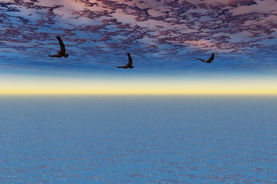 Eagles fly above the storm