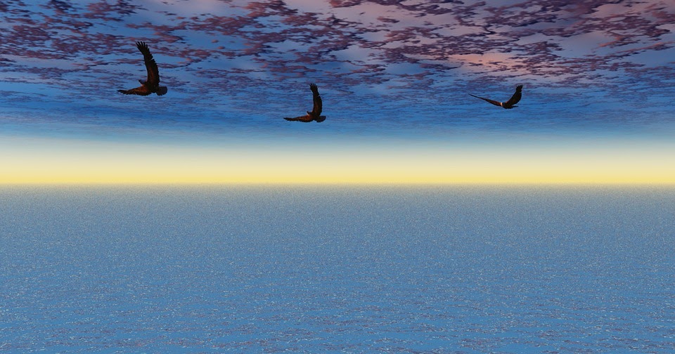 Eagles fly above the storm