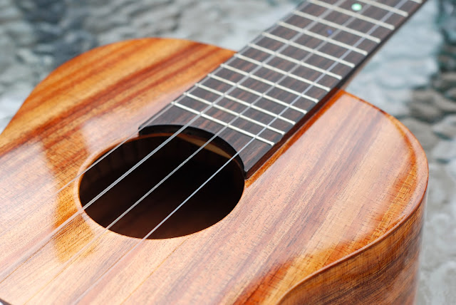 big island concert ukulele fingerboard