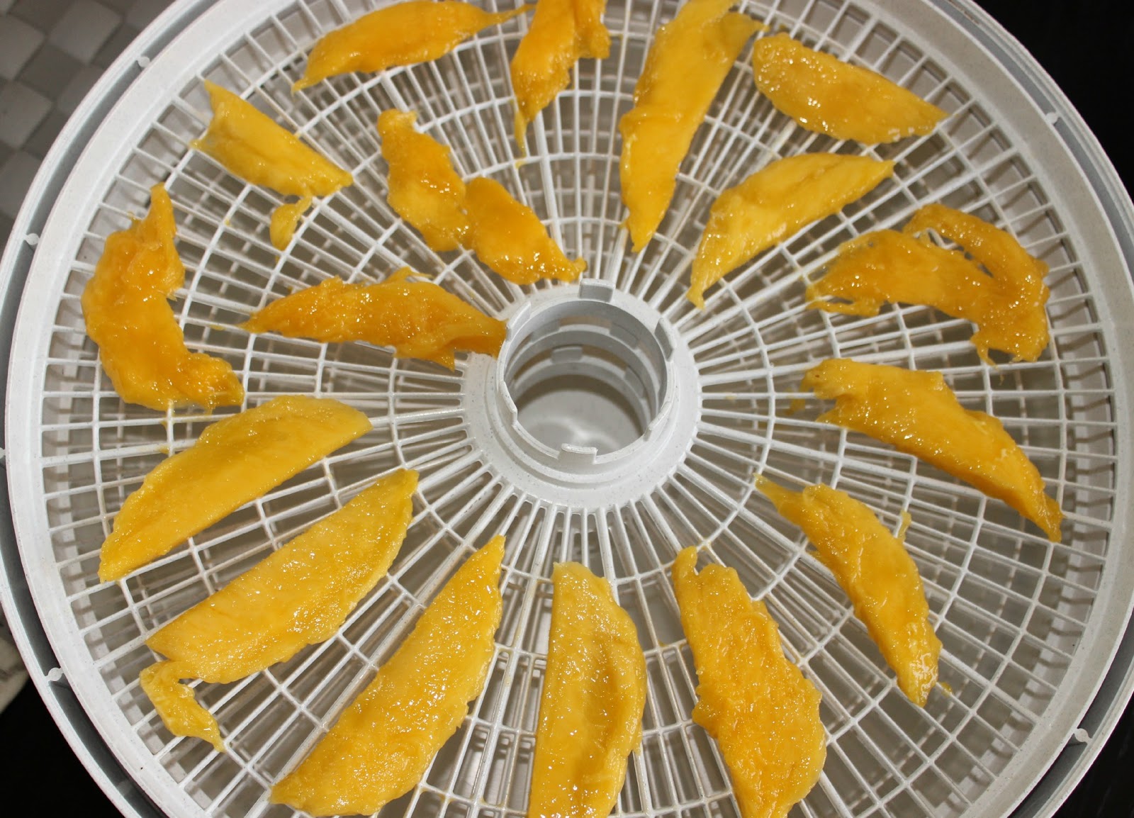 Life with Les Deux Dried Mango Chips