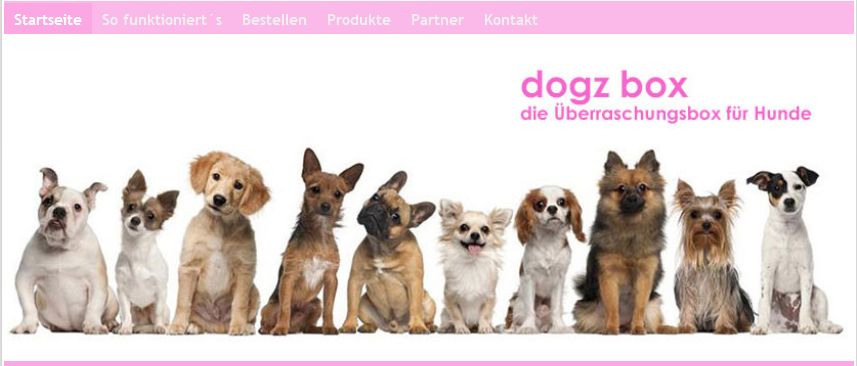 Die dogz box für den Hund ERDBEERCHENS TESTWELT