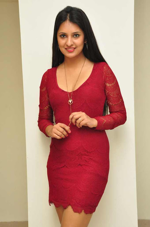 Nikita Bisht photos at sleepwell outlet launch