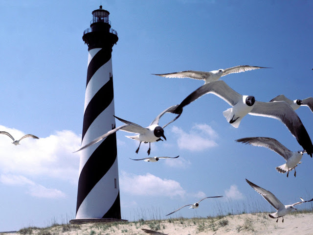 cape hatteras lighthouse north carolina