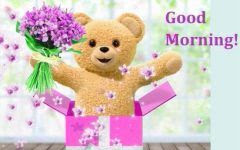 teddy bear teddy bear