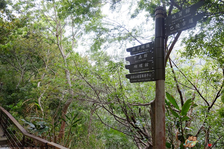 巴陵古道生態園區