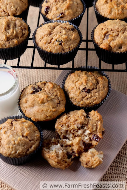Whole grain oatmeal muffins sweetened with cookie butter and studded with raisins. It tastes like a treat, and yet it's reasonably wholesome at the same time.  Try these for a super afternoon snack!