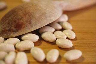 beans-fasolia beans-fasolia