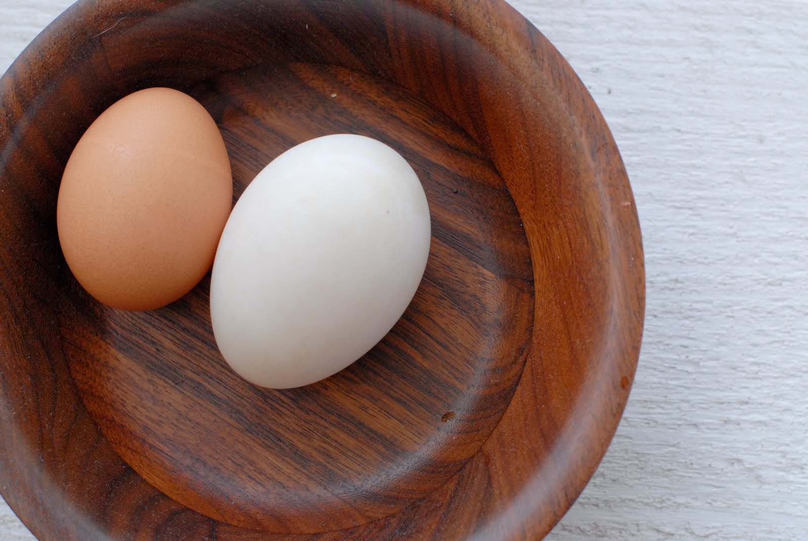Покажи яйцо курицы. Утиные яйца. Яйцо утки. Яйцо кряквы. Утка с яйцом.
