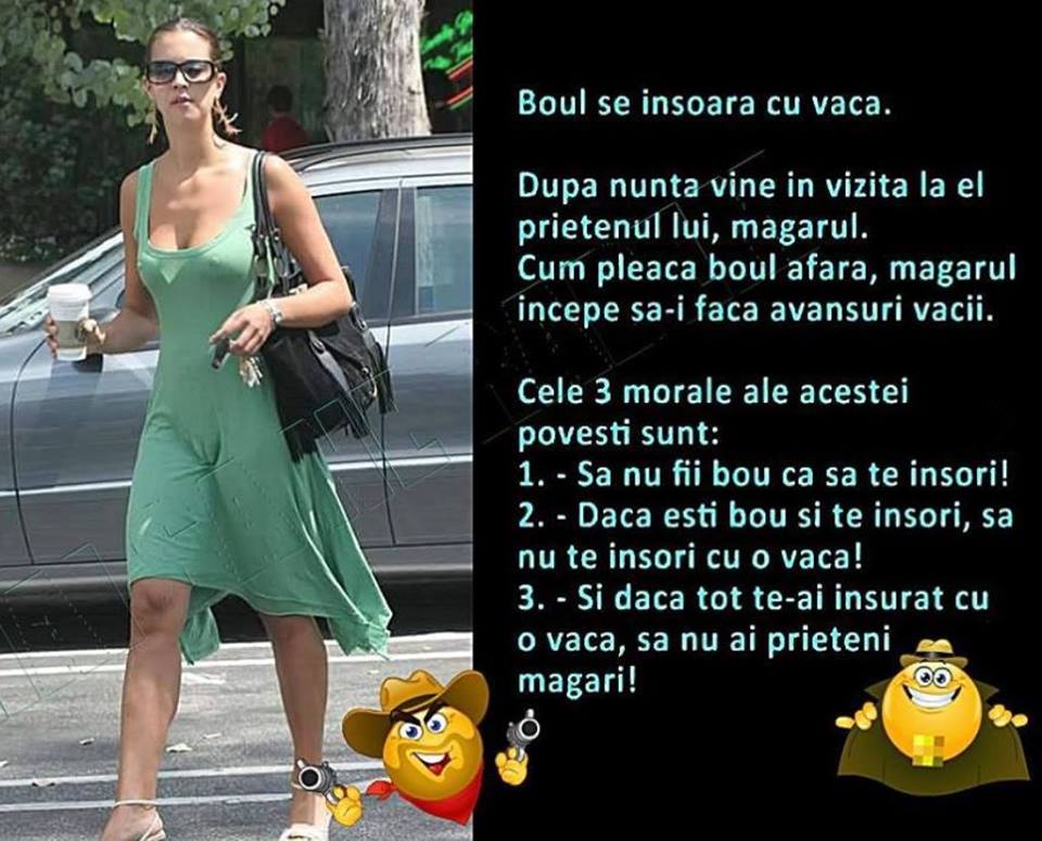 Boul se insoara cu vaca