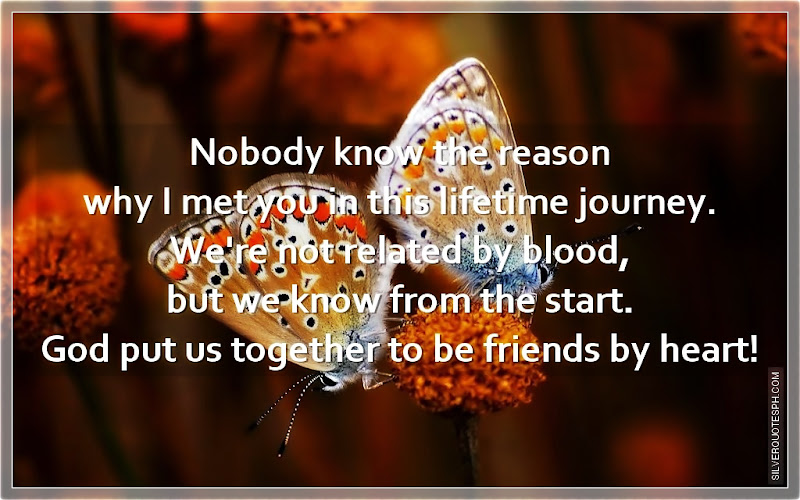Nobody Know The Reason Why I Met You In This Lifetime Journey, Picture Quotes, Love Quotes, Sad Quotes, Sweet Quotes, Birthday Quotes, Friendship Quotes, Inspirational Quotes, Tagalog Quotes