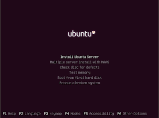 Ubuntu server 12.10 installation screen