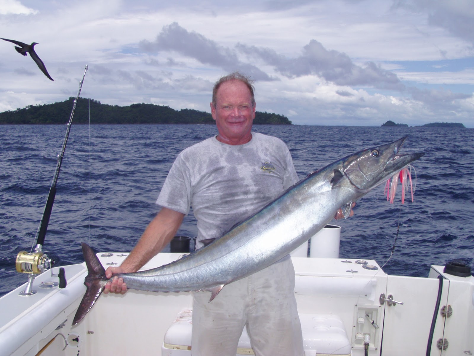 Albin 28 Albin 28 Fishing Machine.