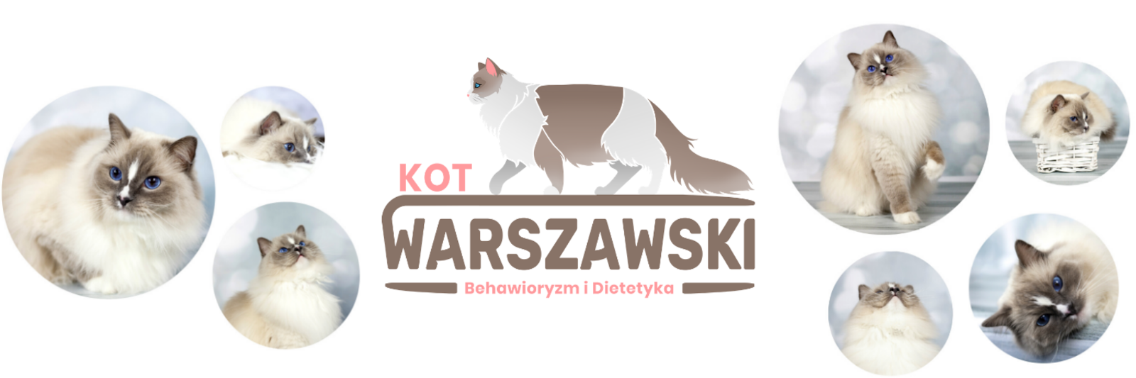 Kot Warszawski