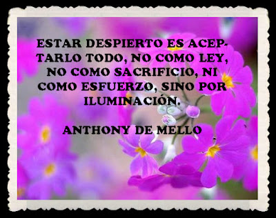 Resultado de imagen para ¿Cuál es el problema de los libros de Anthony de Mello?