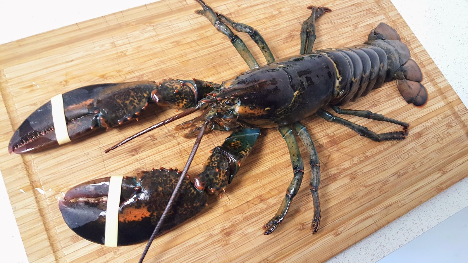 Pocher un homard ou une langouste